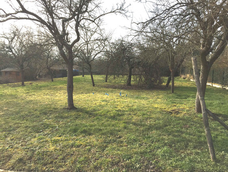 OBERNAI  480 000 €