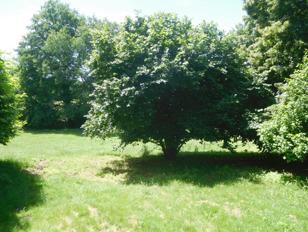 Maison 67 000 € sur Le Chalard (87500) - Réf. 11220