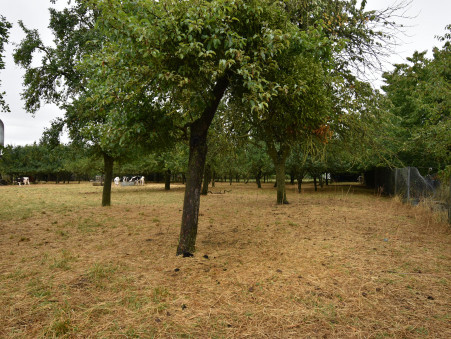 Achat maison Olley Réf. SIG82