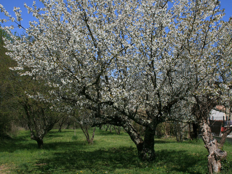 Achat maison Grospierres Réf. TUCBAR40055