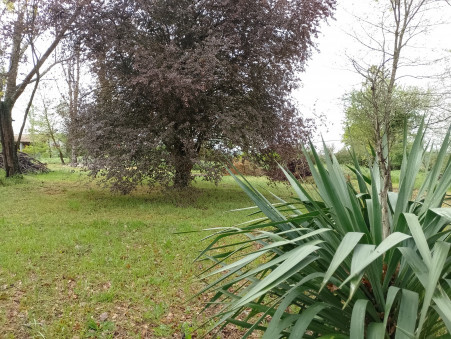 Vente terrain 59 000 € Mondavezan