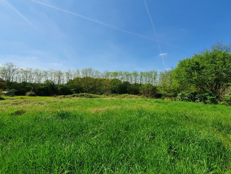 Terrain sur Baudrieres ; prix nous consulter ; Achat Réf. 4363