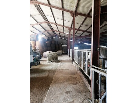 A vendre maison Ciel 71350; prix nous consulter