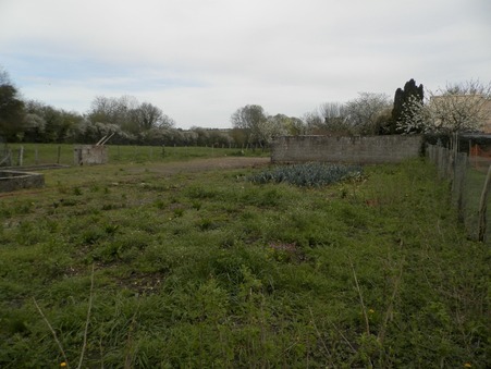 Maison sur Pierre de Bresse ; prix nous consulter ; Achat Réf. 4207