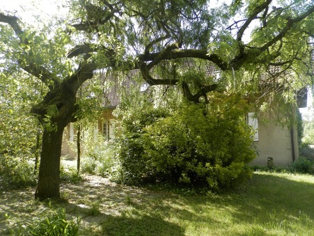 Maison sur Pierre de Bresse ; prix nous consulter ; Vente Réf. 4400