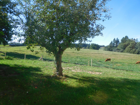 Achat maison Saint-Yrieix-la-Perche Réf. 11351