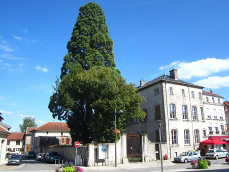 A vendre immeuble Vic-sur-Seille 57630; prix nous consulter