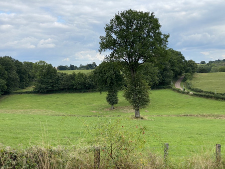 Achat maison Sainte-Colombe Réf. 33_FLIP2021075