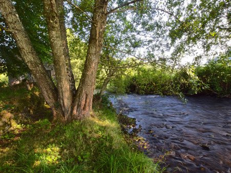Achat maison Saint-Léger-Vauban Réf. 33_FLIP2021076