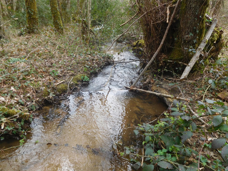 A vendre maison La Roche-l'Abeille 87800; 129 000 €