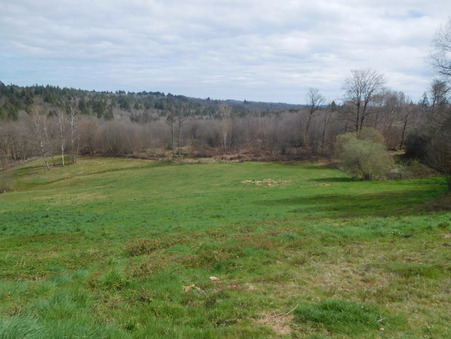 Maison 129 000 € Réf. 11268 La Roche-l'Abeille