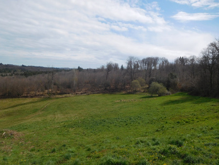 Achat maison La Roche-l'Abeille Réf. 11268