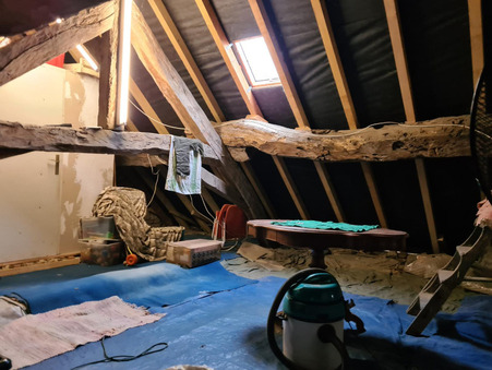 Achat maison Trept Réf. 44_trepcoz38