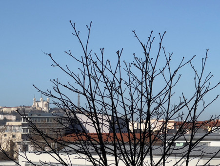 Achat appartement Lyon Réf. 44_lyon1404