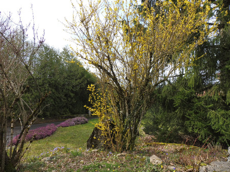 A vendre maison Saint-Germain-sur-Rhône 74910; prix nous consulter