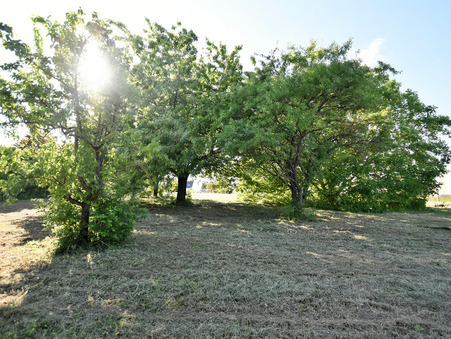 Vente terrain prix nous consulter Nuisement-sur-Coole