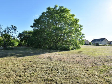 Vente terrain prix nous consulter Nuisement-sur-Coole