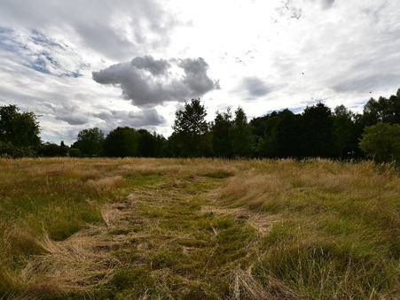 Terrain sur Pogny ; prix nous consulter ; Vente Réf. 47_192-DV-0505