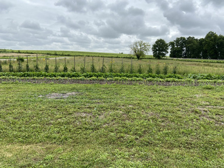 Maison prix nous consulter Réf. 41_DEN Salles-d'Angles