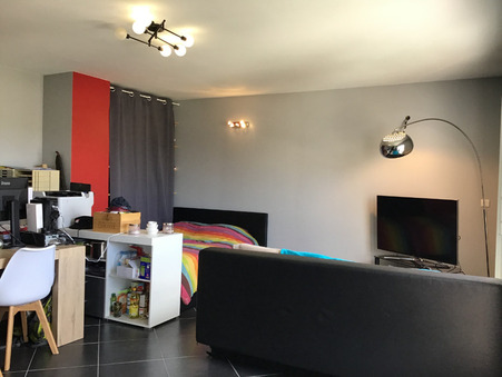 A vendre appartement Hauteville-Lompnes 01110; prix nous consulter