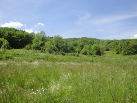 A vendre terrain Tenay 01230; prix nous consulter