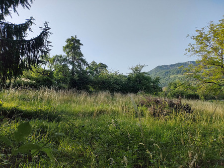 Terrain sur Tenay ; prix nous consulter ; Vente Réf. 38_LYAGIG