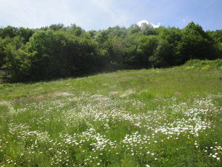 Terrain prix nous consulter Réf. 38_LYADU6 Tenay