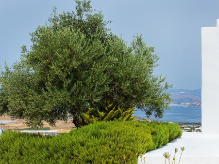 Maison À partir de 4 790 €  sur Paros (844 00) - Réf. 3116-83538430