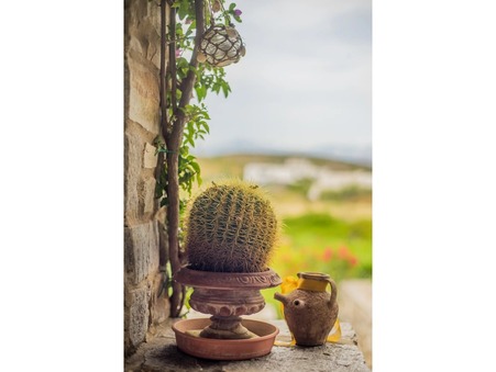 Maison À partir de 2 795 €  sur Paros (844 00) - Réf. 3333-83538590