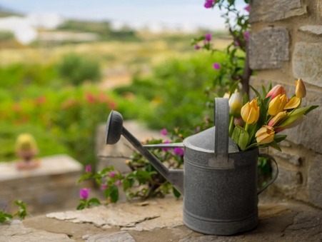 Maison À partir de 2 795 €  sur Paros (844 00) - Réf. 3333-83538590