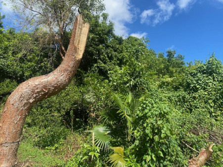 A vendre terrain Morne a l'Eau 97111; 140 000 €