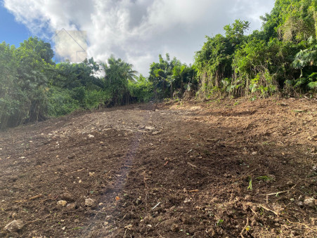 A vendre terrain Morne a l'Eau 97111; 140 000 €