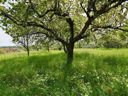 Achat autre Vézelay Réf. 33_FLIP2023026