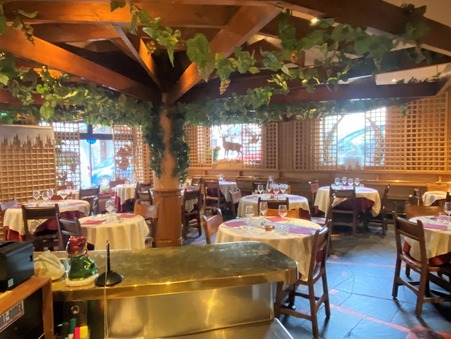 Achat local commercial Font-Romeu-Odeillo-Via Réf. 771