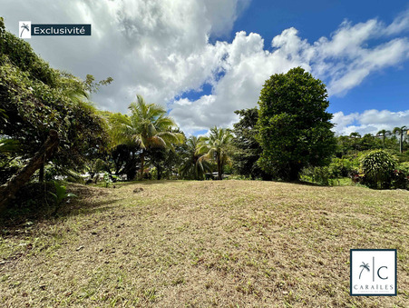 Terrain 189 000 €  sur Vert Pre (97231) - Réf. CAR81
