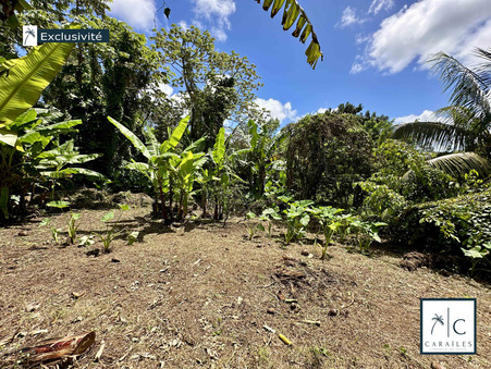 Terrain sur Vert Pre ; 189 000 €  ; Achat Réf. CAR81