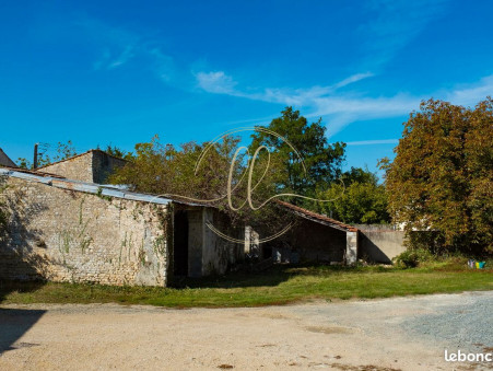 Achat autre Nuaille d'Aunis Réf. 007