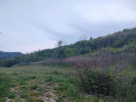 A vendre terrain Tenay 01230; prix nous consulter