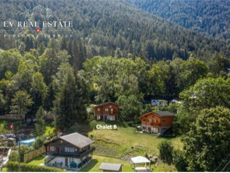 Autre 870 000 € Réf. EVR102_bis_2 Mayens de Saxon