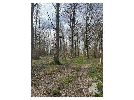 Vente propriété 450 500 € Bourges