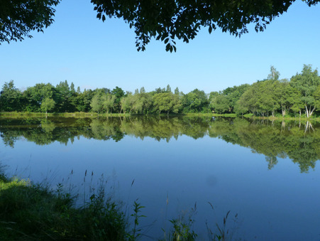 Terrain prix nous consulter sur Loiron (53320) - Réf. M87973