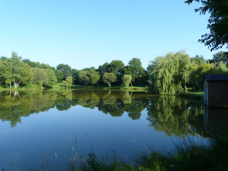 Vente terrain prix nous consulter Loiron