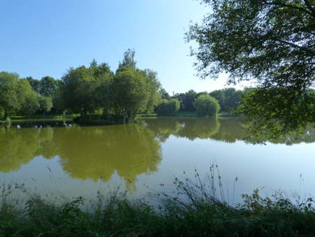 Achat terrain Loiron Réf. M87973