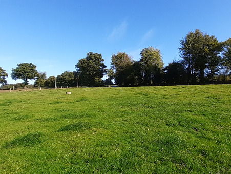 Achat maison Montaudin Réf. M78902