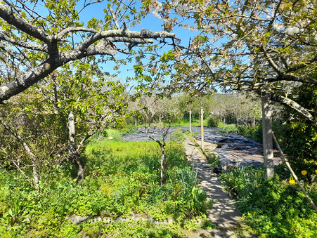 Maison prix nous consulter sur Chateau Gontier sur Mayenne (53200) - Réf. M99380