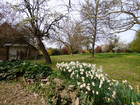 Maison sur Champigne ; prix nous consulter ; A vendre Réf. S68194