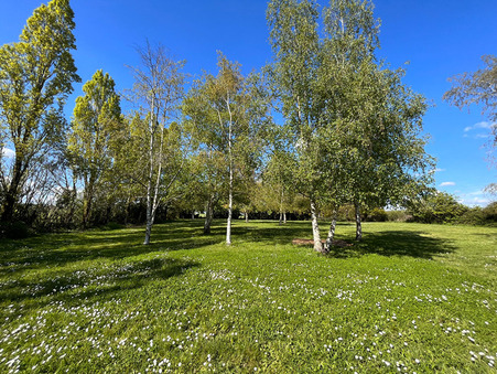 Achat terrain Segre en Anjou Bleu Réf. S69260