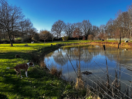 Maison sur Craon ; prix nous consulter ; A vendre Réf. s69440