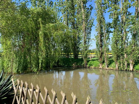 Achat maison Segre en Anjou Bleu Réf. S99443