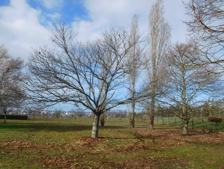 Maison sur Limoges ; 316 000 € ; A vendre Réf. 10387